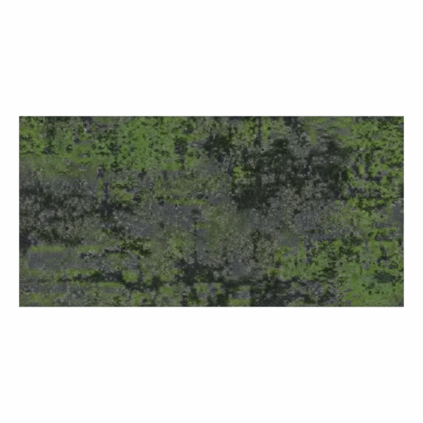 Elvora