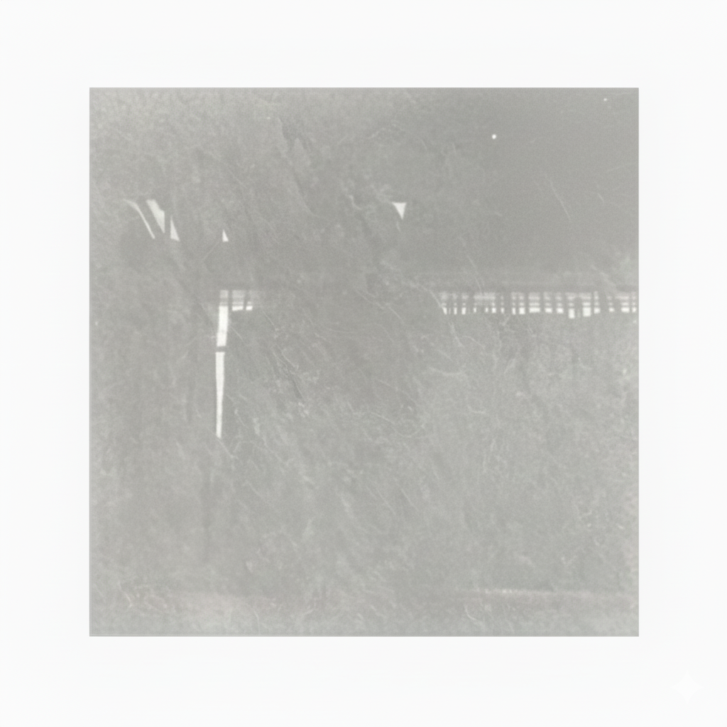 TM1194
