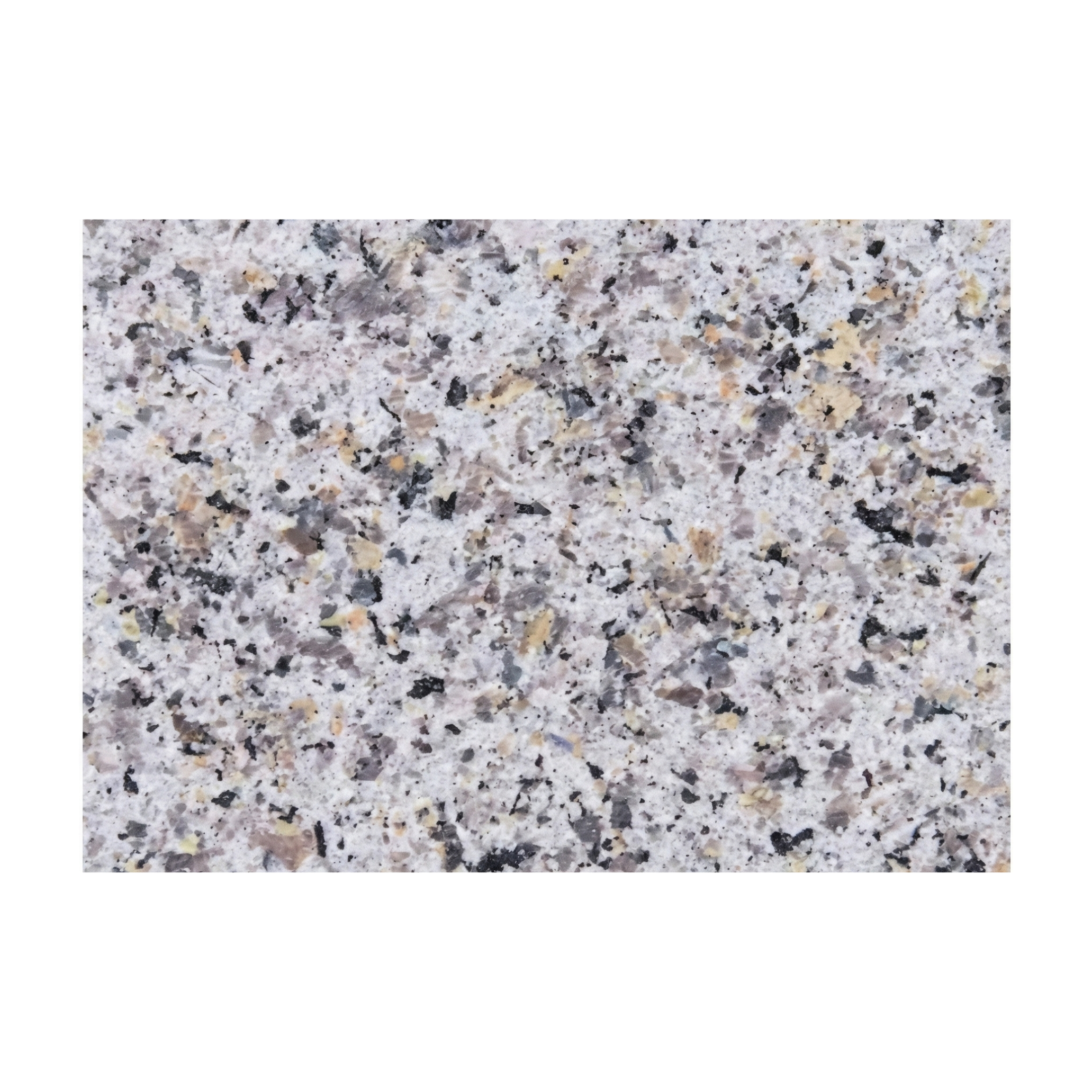IDIP-4 (1)