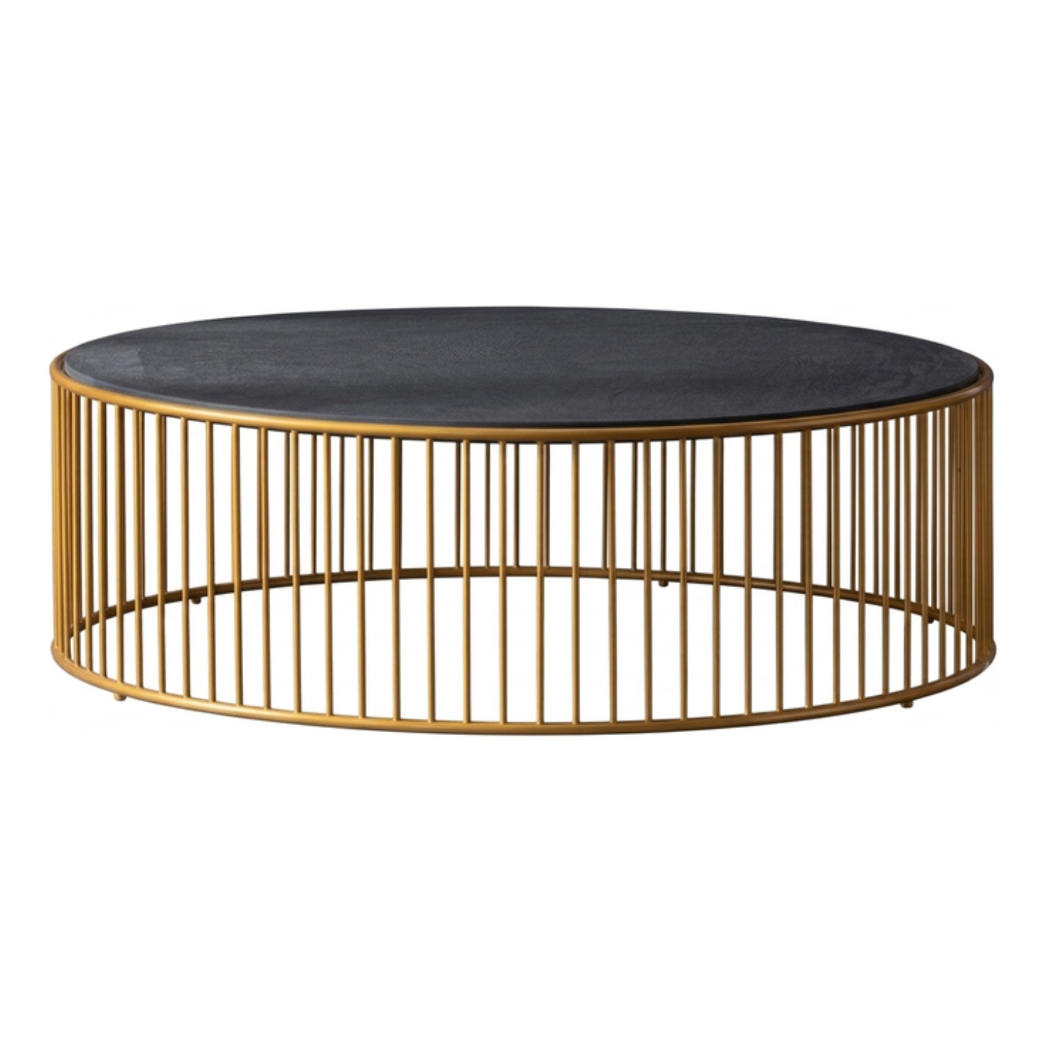 Gaviota Collection - 6